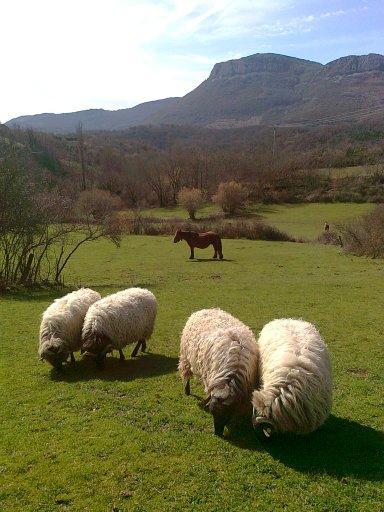 Villanueva de Arce Casa Rural Parriola المظهر الخارجي الصورة