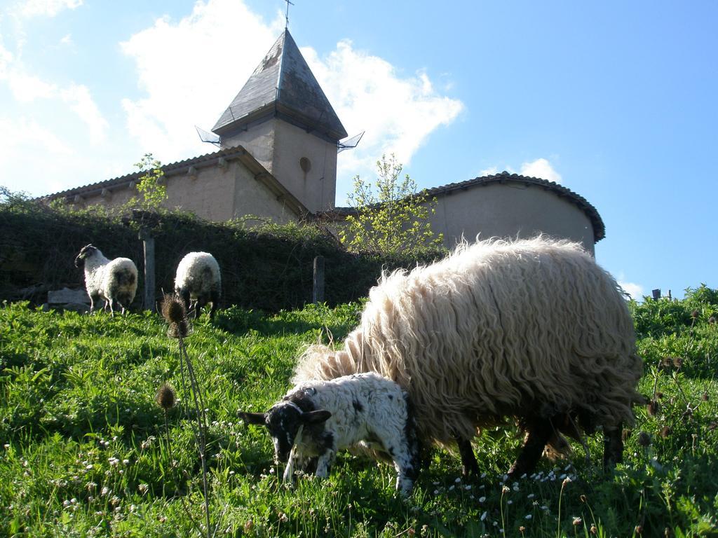Villanueva de Arce Casa Rural Parriola المظهر الخارجي الصورة
